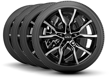 Century Kia in Tampa FL