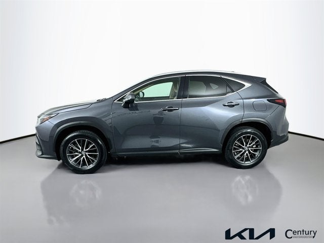 2024 Lexus NX NX 250